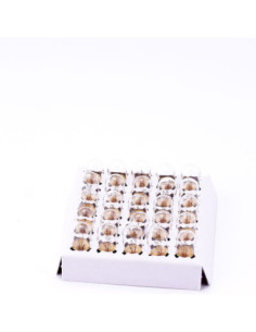 Żarówka 24-30V 2W, 00223002, BARTHELME