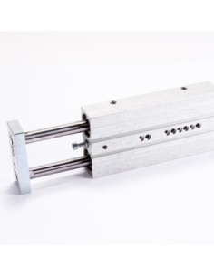 Siłownik z dwoma tłokami, DPZJ-32-80-P-A-KF-S20 162163, FESTO 2