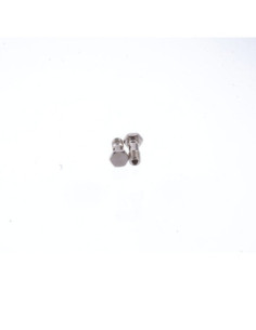 Śruba drążona, pojedyncza, VT 181/23 MSV, LANDEFELD