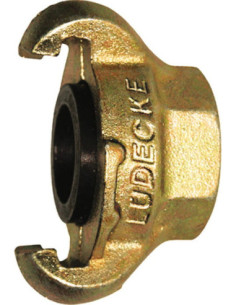 Złącze kłowe Ludecke G 1/2 GW, DIN3489 rozstaw kłów 42 mm, żeliwo